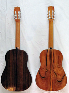 Impression of the back of the EB-guitars