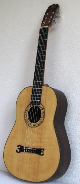 EB-2009 guitar