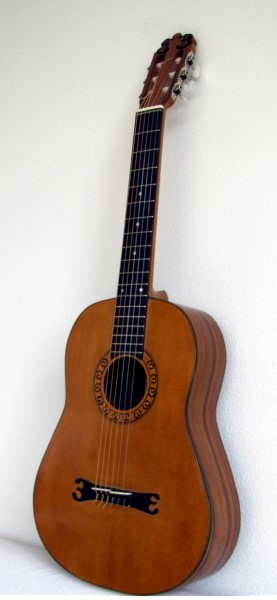 EB-2010 guitar
